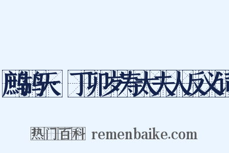 鹧鸪天·丁卯岁寿太夫人反义词是什么意思的图片